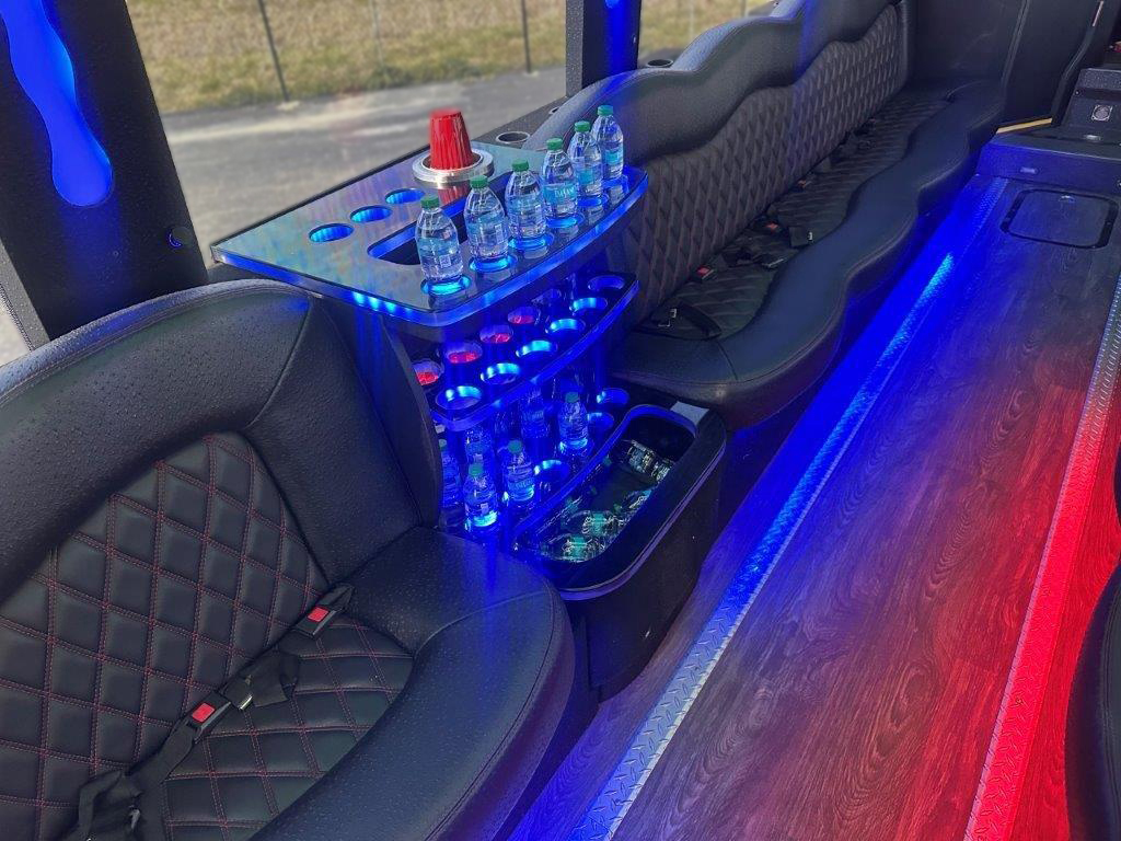 2022 Temsa Limo Party Shuttle Bus